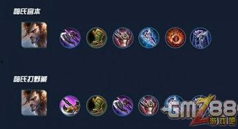 嗨氏宫本武藏视频,揭秘日本剑术大师的传奇人生